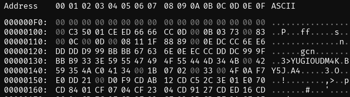 Hex editor view of the start of the file